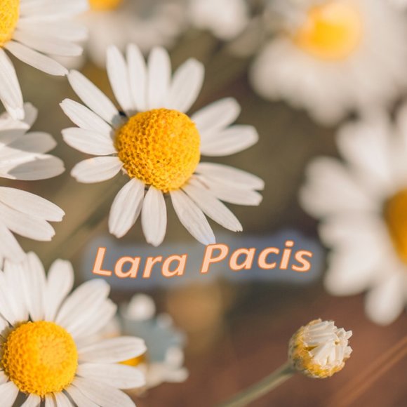 Meet your Posher, Lara - Picture 1 of 1